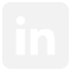 linkedin icon